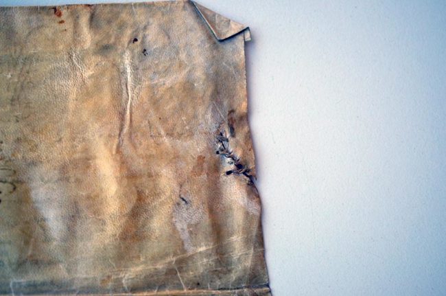 Généalogiste Professionnelle Auvergne Rhone Alpes France