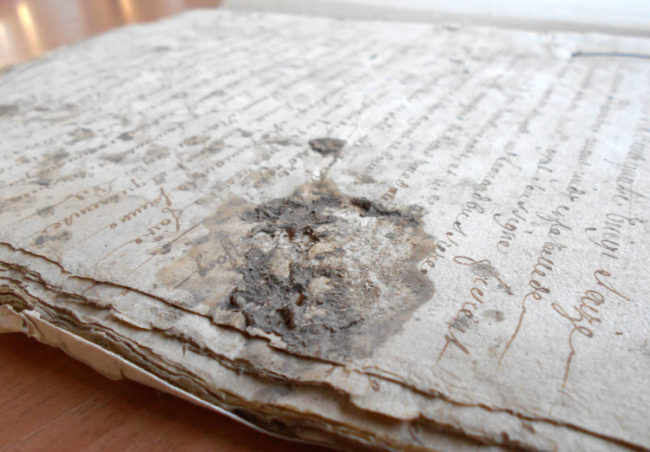 Audrey Brain Généalogiste Documents